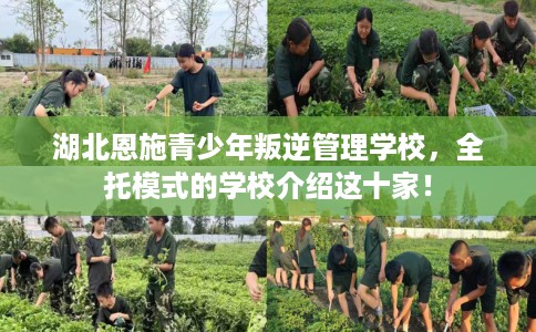 湖北恩施青少年叛逆管理学校，全托模式的学校介绍这十家！