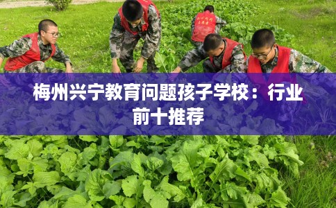 梅州兴宁教育问题孩子学校：行业前十推荐