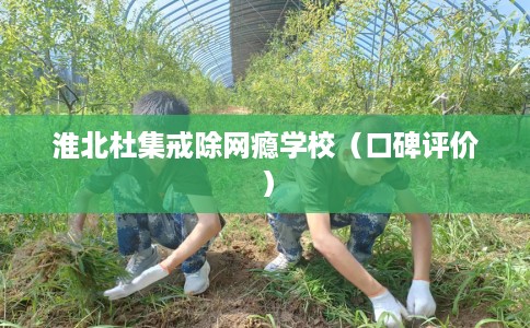 淮北杜集戒除网瘾学校（口碑评价）