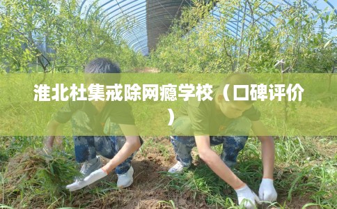 淮北杜集戒除网瘾学校（口碑评价）
