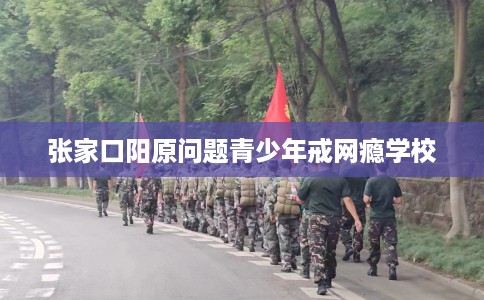 张家口阳原问题青少年戒网瘾学校