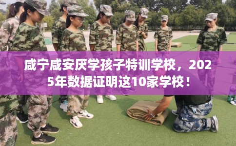 咸宁咸安厌学孩子特训学校，2025年数据证明这10家学校！