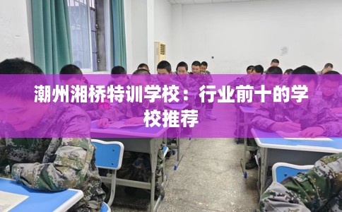 潮州湘桥特训学校：行业前十的学校推荐