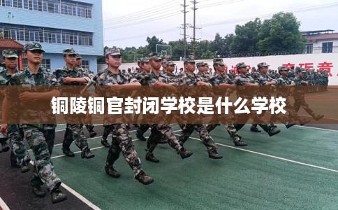 铜陵铜官封闭学校是什么学校