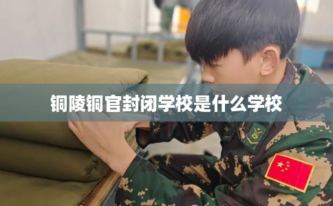 铜陵铜官封闭学校是什么学校