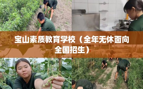 宝山素质教育学校(全年无休面向全国招生) 宝山素质教育学校(全年无休面向全国招生)