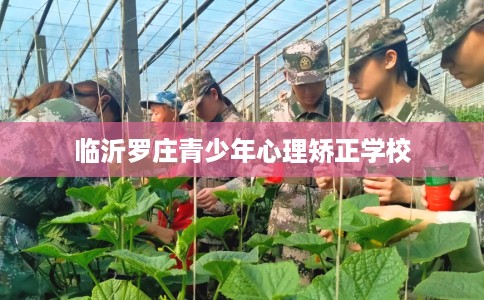 临沂罗庄青少年心理矫正学校