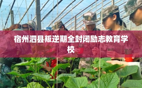 宿州泗县叛逆期全封闭励志教育学校 宿州泗县叛逆期全封闭励志教育学校