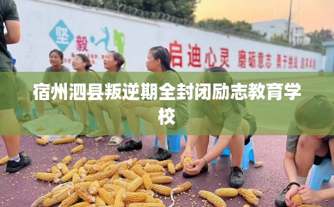 宿州泗县叛逆期全封闭励志教育学校 宿州泗县叛逆期全封闭励志教育学校