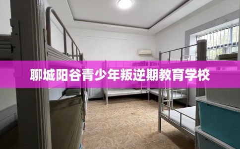 聊城阳谷青少年叛逆期教育学校