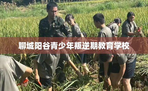 聊城阳谷青少年叛逆期教育学校