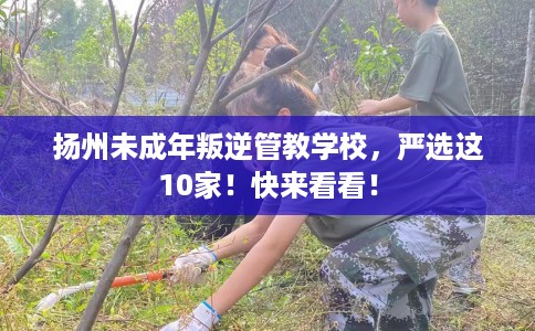 扬州未成年叛逆管教学校，严选这10家！快来看看！