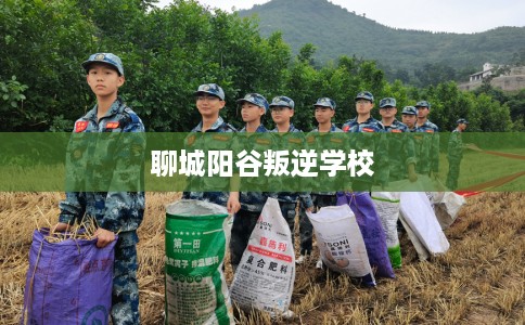 聊城阳谷叛逆学校