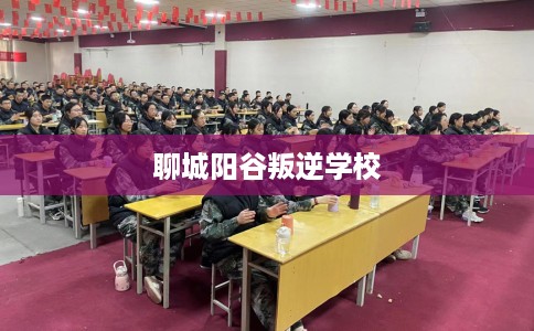 聊城阳谷叛逆学校