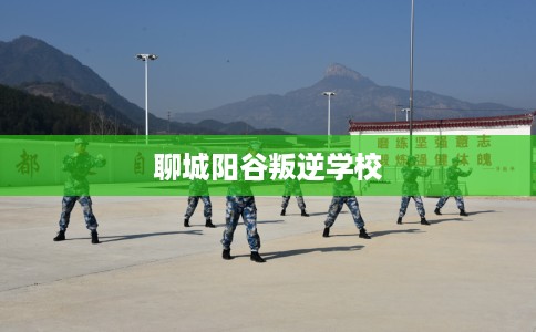 聊城阳谷叛逆学校