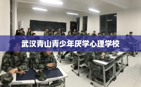 武汉青山青少年厌学心理学校