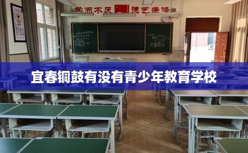 宜春铜鼓有没有青少年教育学校
