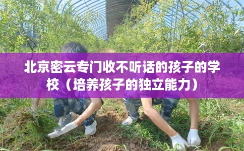 北京密云专门收不听话的孩子的学校（培养孩子的独立能力）