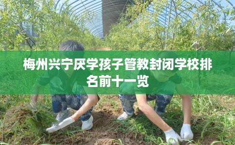 梅州兴宁厌学孩子管教封闭学校排名前十一览