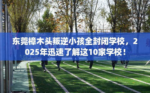 东莞樟木头叛逆小孩全封闭学校，2025年迅速了解这10家学校！