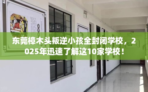 东莞樟木头叛逆小孩全封闭学校，2025年迅速了解这10家学校！