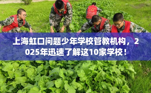 上海虹口问题少年学校管教机构，2025年迅速了解这10家学校！