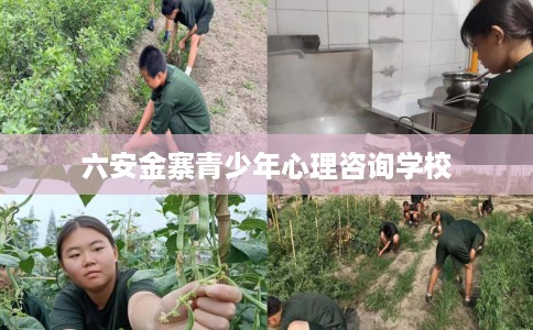 六安金寨青少年心理咨询学校