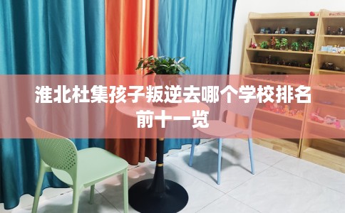 淮北杜集孩子叛逆去哪个学校排名前十一览 淮北杜集孩子叛逆去哪个学校排名前十一览