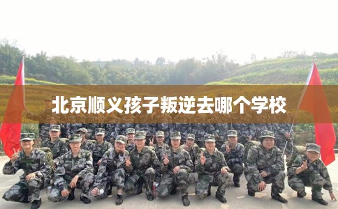 北京顺义孩子叛逆去哪个学校