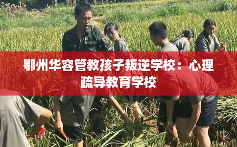 鄂州华容管教孩子叛逆学校：心理疏导教育学校