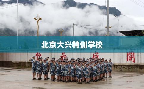 北京大兴特训学校