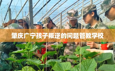 肇庆广宁孩子叛逆的问题管教学校