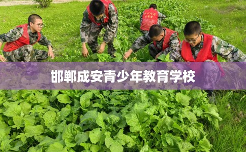 邯郸成安青少年教育学校