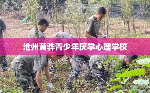 沧州黄骅青少年厌学心理学校