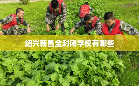 绍兴新昌全封闭学校有哪些