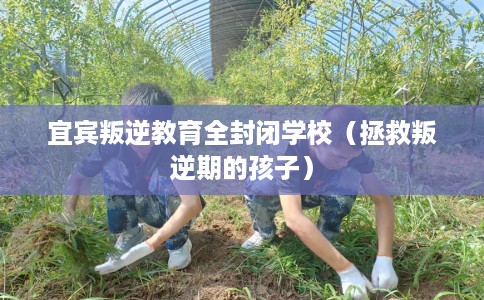 宜宾叛逆教育全封闭学校（拯救叛逆期的孩子）