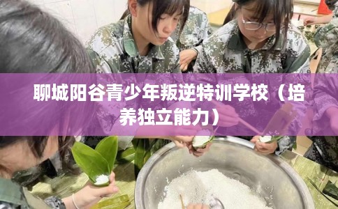 聊城阳谷青少年叛逆特训学校（培养独立能力）