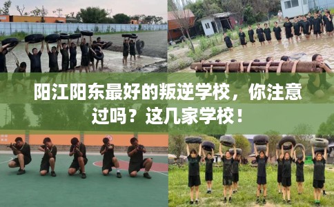 阳江阳东最好的叛逆学校，你注意过吗？这几家学校！