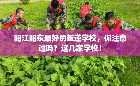 阳江阳东最好的叛逆学校，你注意过吗？这几家学校！