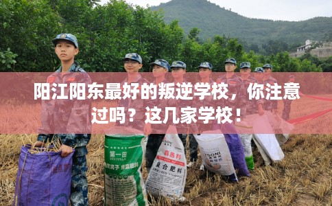 阳江阳东最好的叛逆学校，你注意过吗？这几家学校！