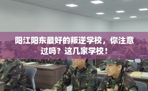 阳江阳东最好的叛逆学校，你注意过吗？这几家学校！