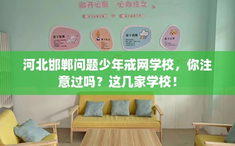 河北邯郸问题少年戒网学校，你注意过吗？这几家学校！