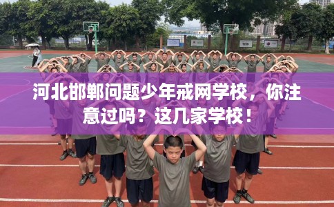 河北邯郸问题少年戒网学校，你注意过吗？这几家学校！