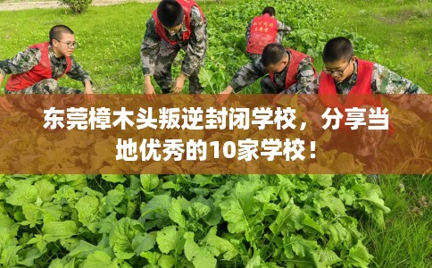 东莞樟木头叛逆封闭学校，分享当地优秀的10家学校！
