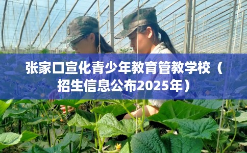 张家口宣化青少年教育管教学校（招生信息公布2025年）