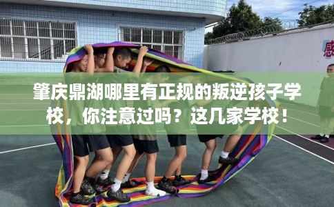 肇庆鼎湖哪里有正规的叛逆孩子学校，你注意过吗？这几家学校！