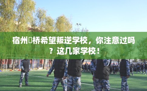 宿州埇桥希望叛逆学校，你注意过吗？这几家学校！