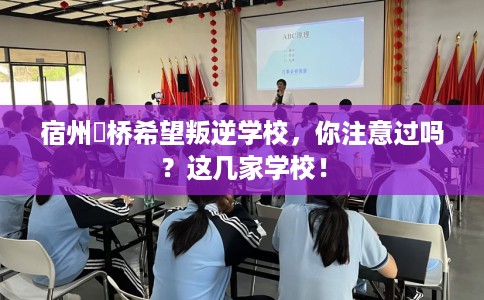 宿州埇桥希望叛逆学校，你注意过吗？这几家学校！