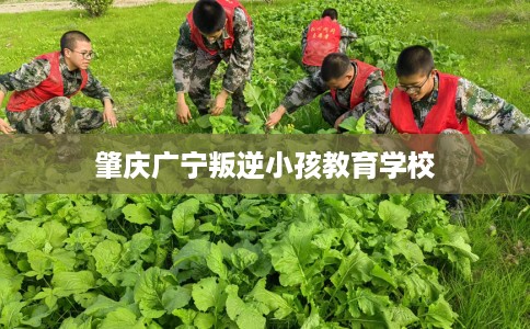 肇庆广宁叛逆小孩教育学校