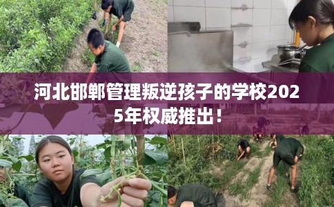 河北邯郸管理叛逆孩子的学校2025年权威推出！